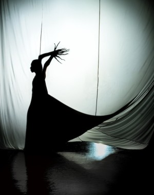 Lina Limosani: A Delicate Situation